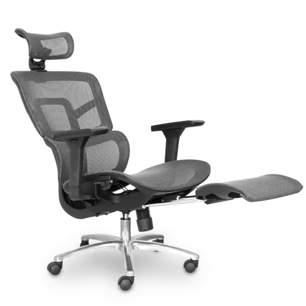 Ghế công thái học M1105-F