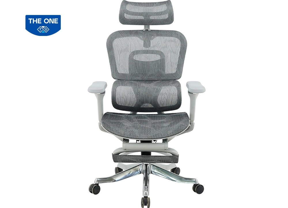 GHẾ CÔNG THÁI HỌC THE ONE GLE22