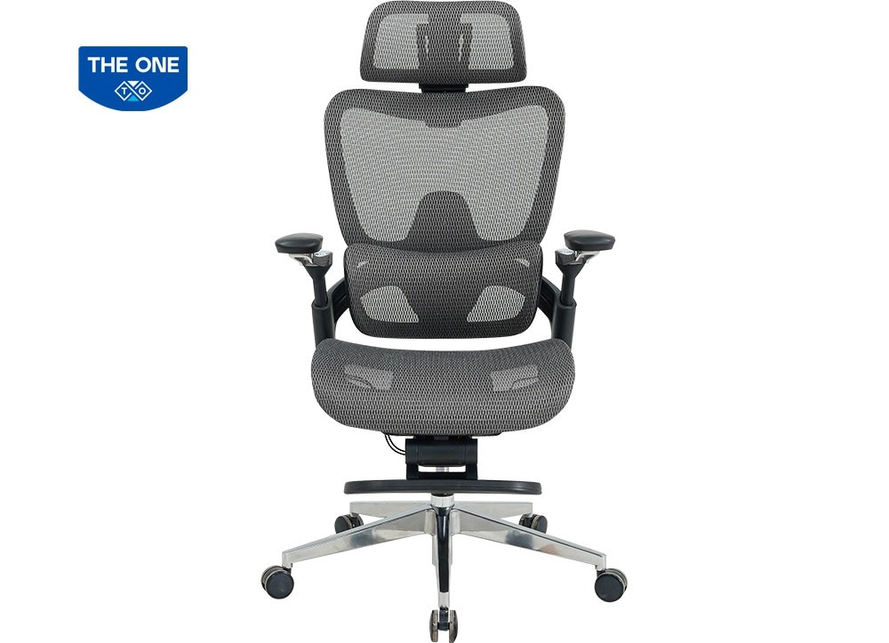 GHẾ LƯỚI CÔNG THÁI HỌC THE ONE GLE24