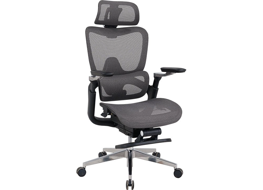 GHẾ LƯỚI CÔNG THÁI HỌC THE ONE GLE24 - Ảnh 2