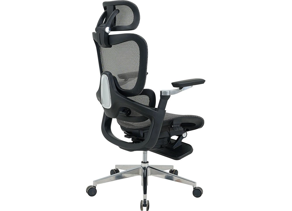 GHẾ LƯỚI CÔNG THÁI HỌC THE ONE GLE24 - Ảnh 3