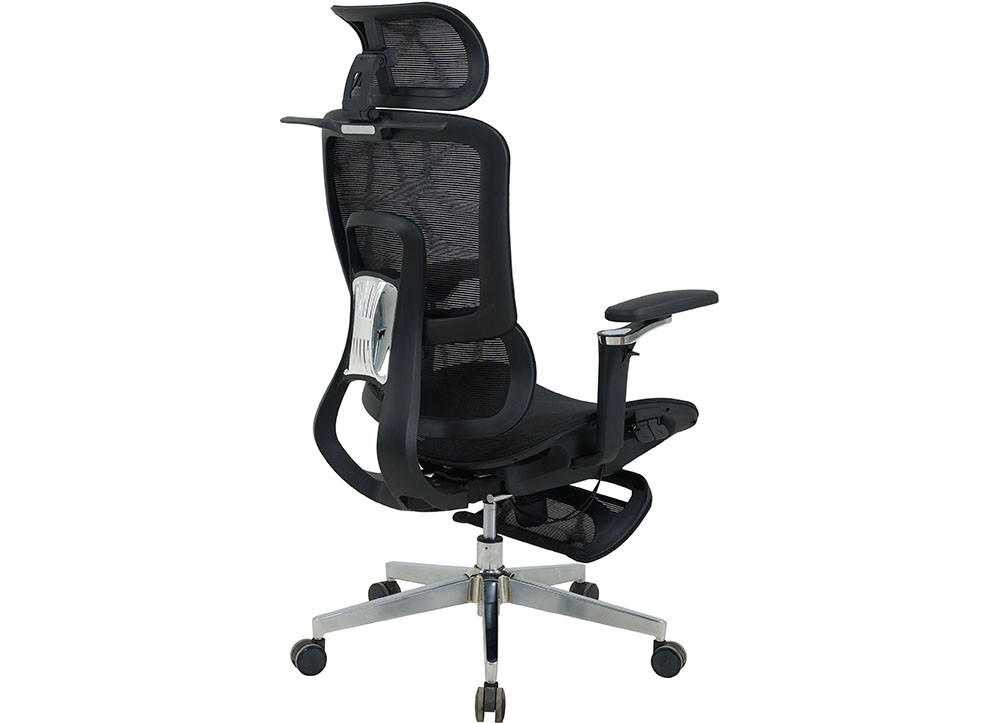 GHẾ CÔNG THÁI HỌC THE ONE GLE25 - Ảnh 3